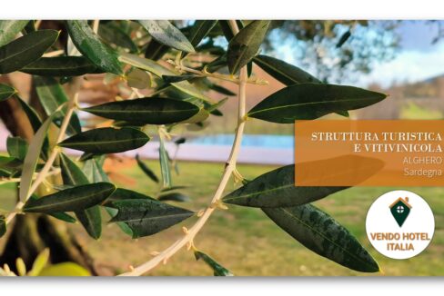Struttura turistica e vitivinicola-Alghero SS-Sardegna