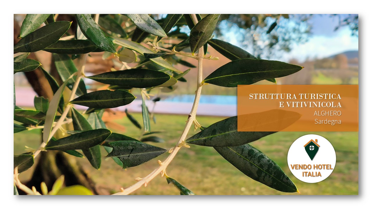 Struttura turistica e vitivinicola-Alghero SS-Sardegna