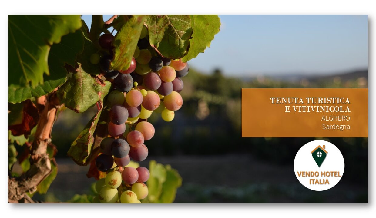 Tenuta turistica e vitivinicola-Alghero SS-Sardegna