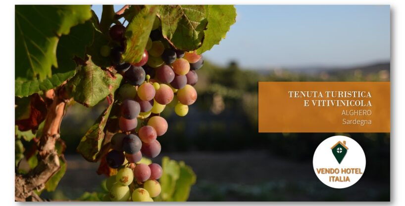 Tenuta turistica e vitivinicola-Alghero SS-Sardegna