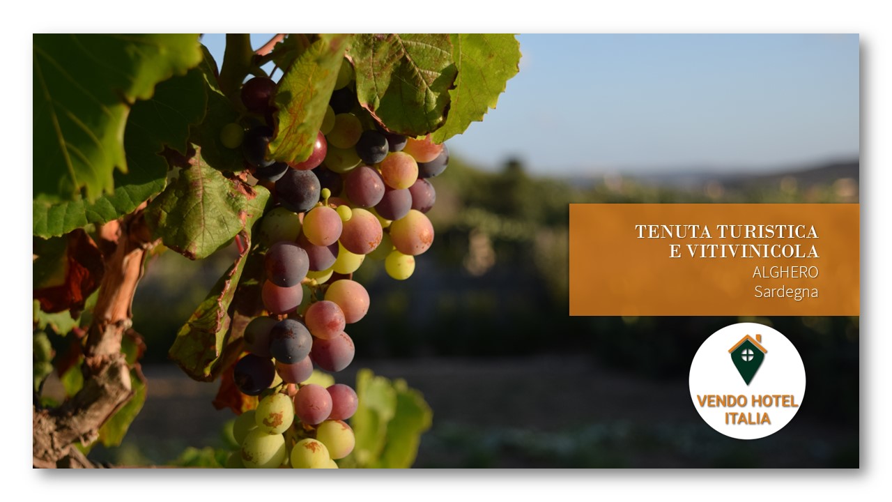 Tenuta turistica e vitivinicola-Alghero SS-Sardegna